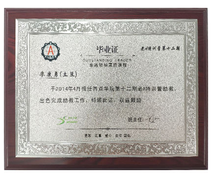  卓越领袖证书 