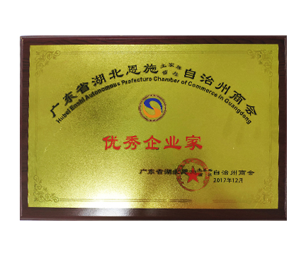 优秀企业家证书 